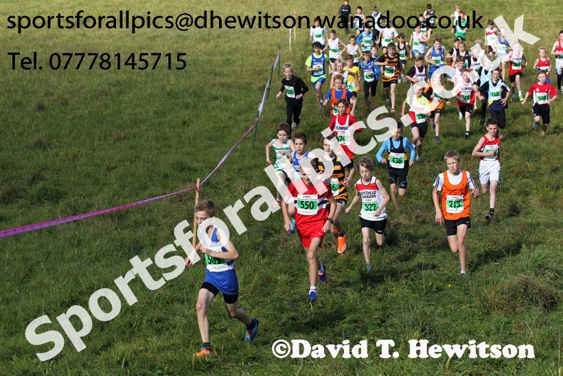 Boys under-13s, North East Harrier League, Cramlington. Photo: David T. Hewitson/Sports for All Pics